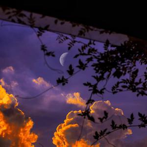 负面恋情漫画免费观看最新
