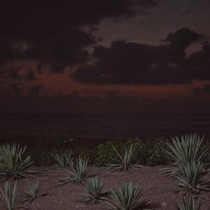 负面恋情漫画免费观看最新
